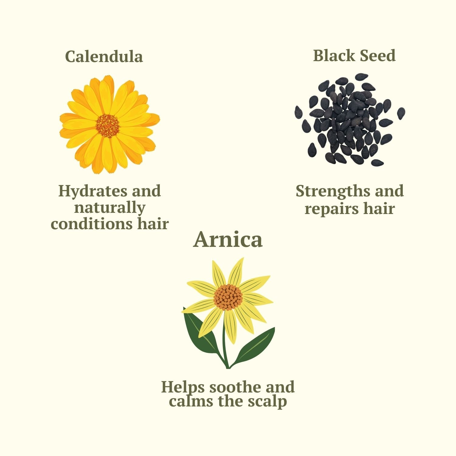 Ingredients of Rojh Hair Oil